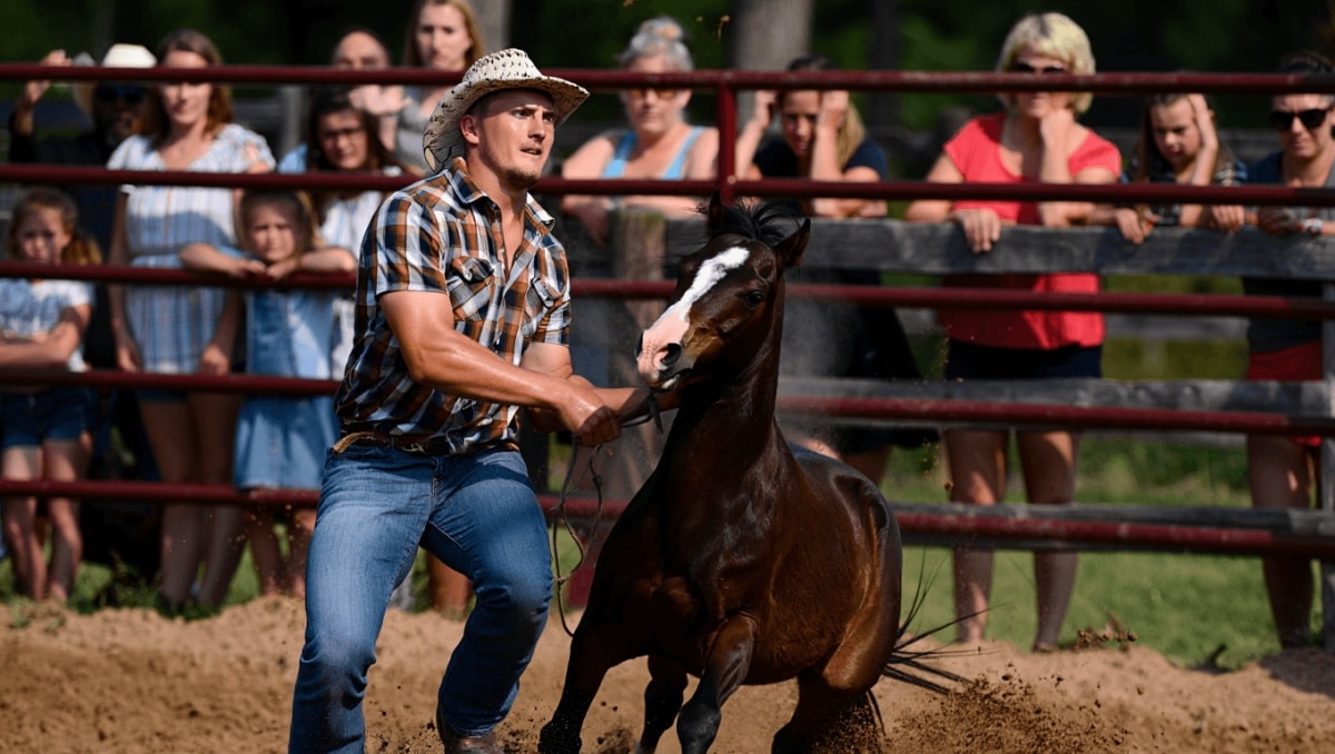Animal cruelty charges in McHenry County could change how backyard rodeos operate across northern Illinois
