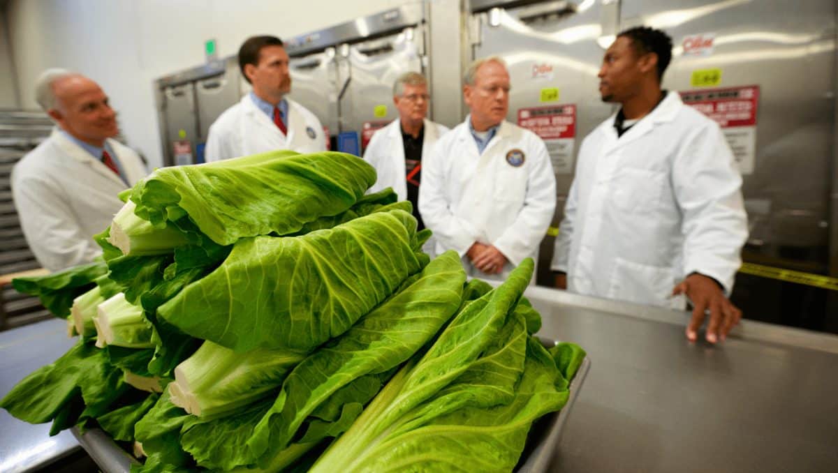 FDA still focused on lettuce supplier as source of parasite, despite faulty test result