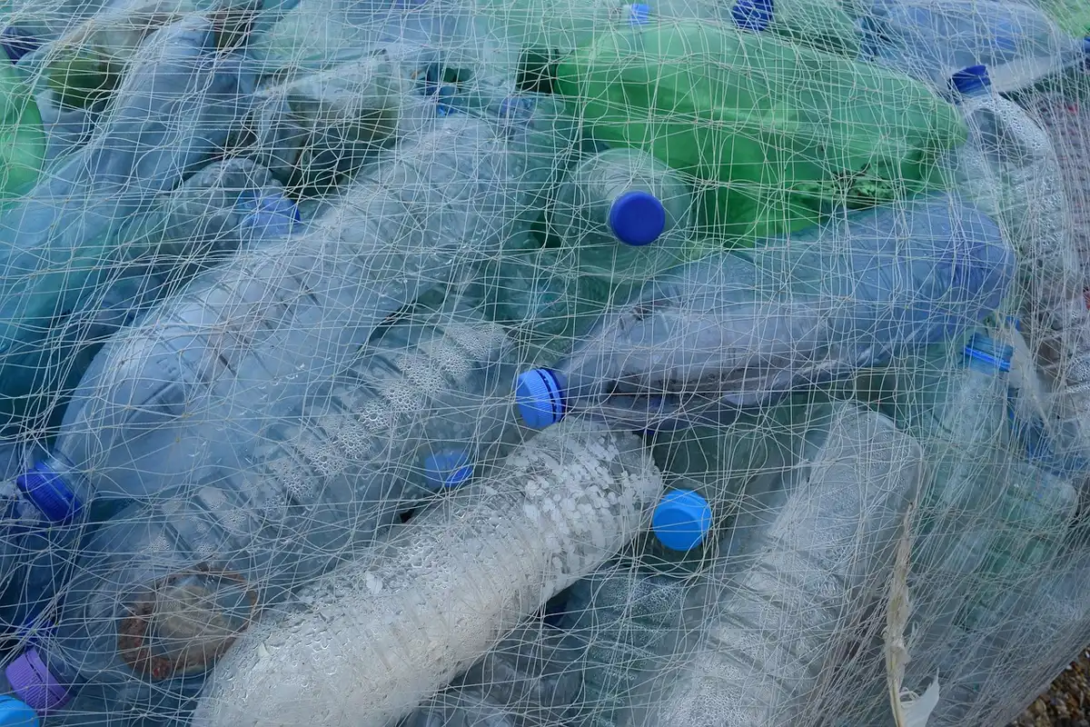 Volunteers hauling bulky debris from a riverbank to protect wildlife and navigation
