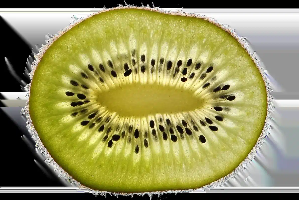 Variety of sleep-promoting foods including almonds, kiwi, cherries and fatty fish