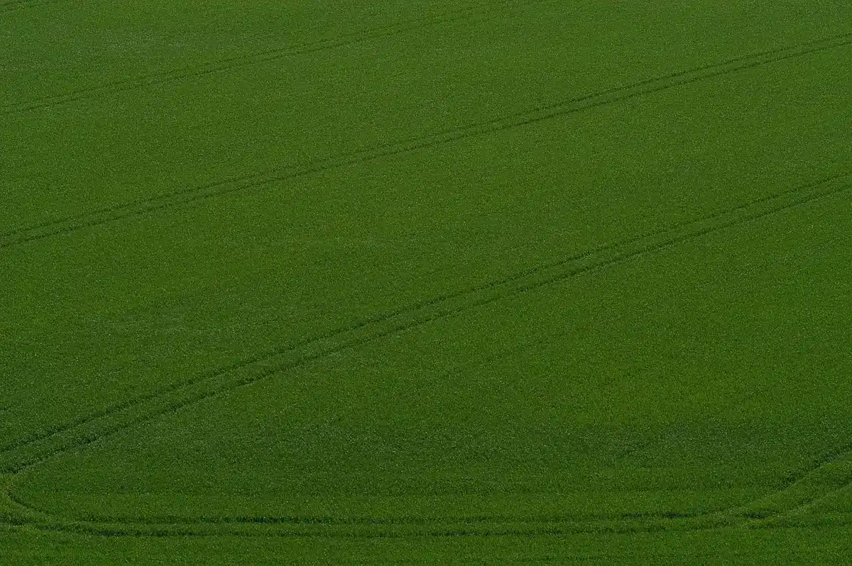 Farmland and crops illustrating agricultural land at risk