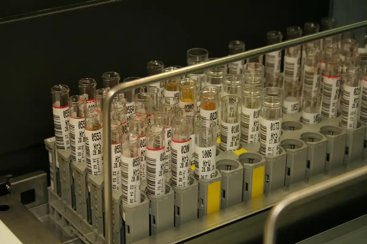 Scientists examining grain samples in a lab to test nutrient content
