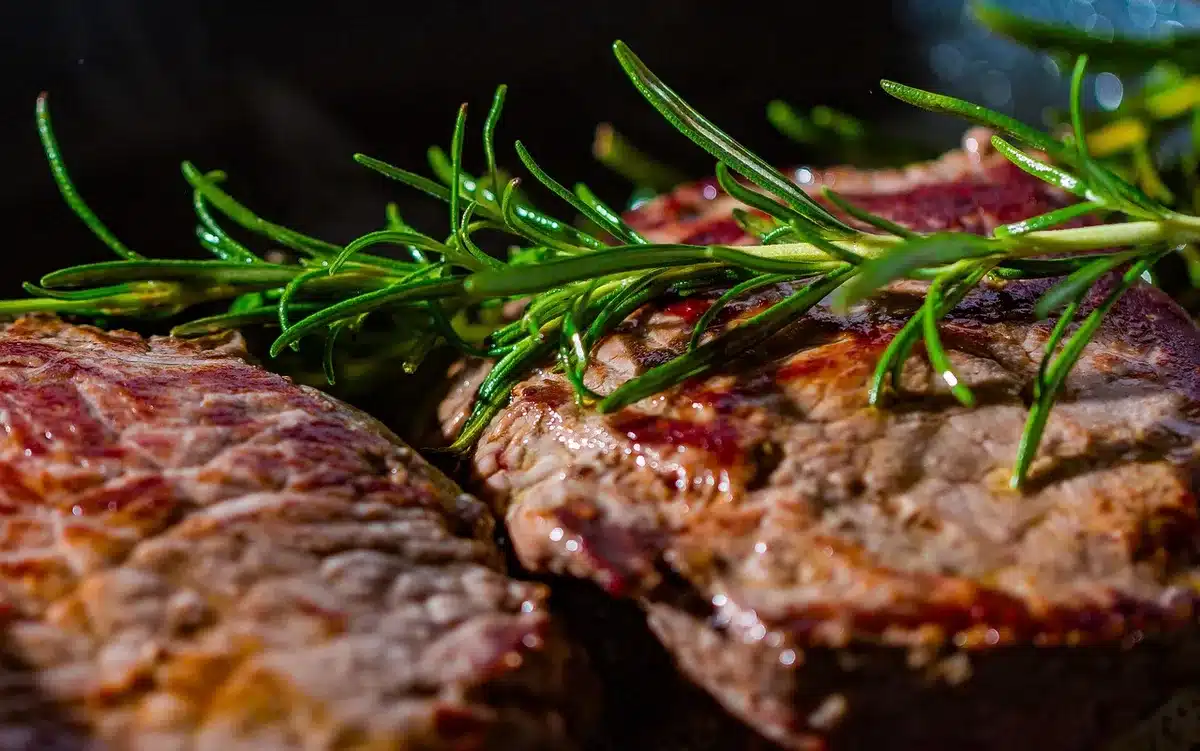 Palm-sized cooked lean meat portion on a plate illustrating recommended serving