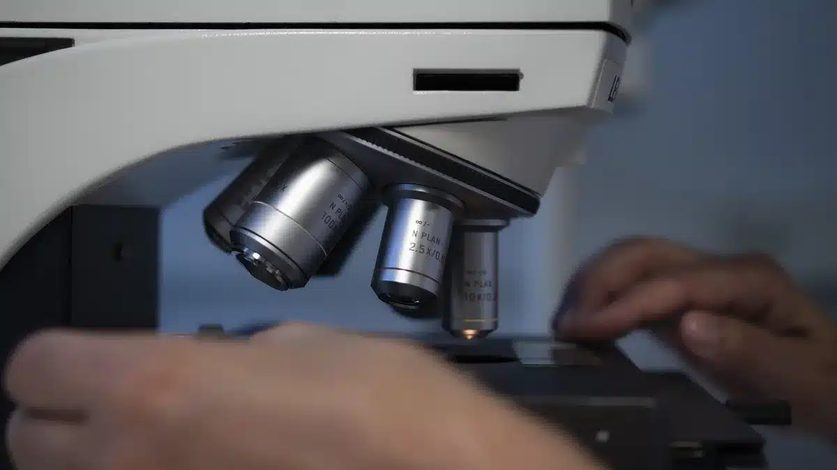 Laboratory technician preparing samples under a microscope