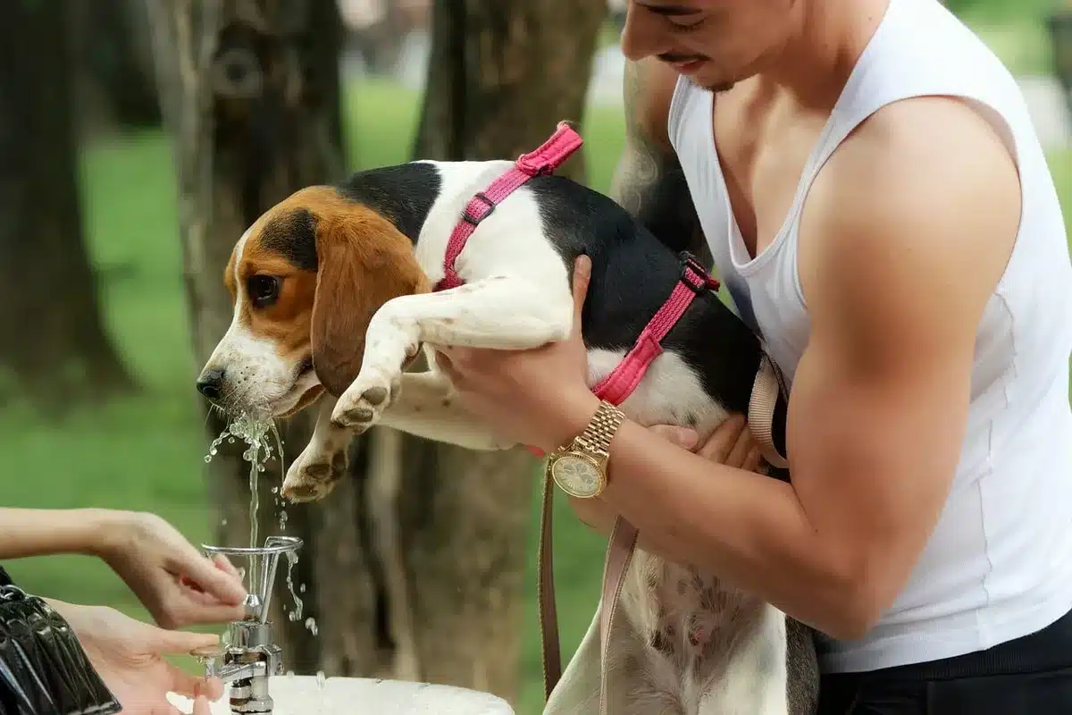 Person holding a water bottle and drinking outside